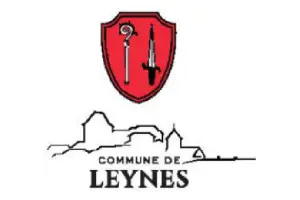 Leynes