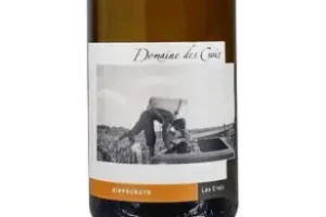 Domaine